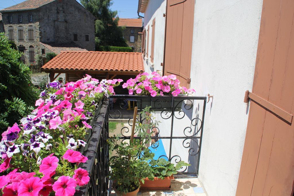La Maison Des Chats Saint-Mary-le-Plain Luaran gambar