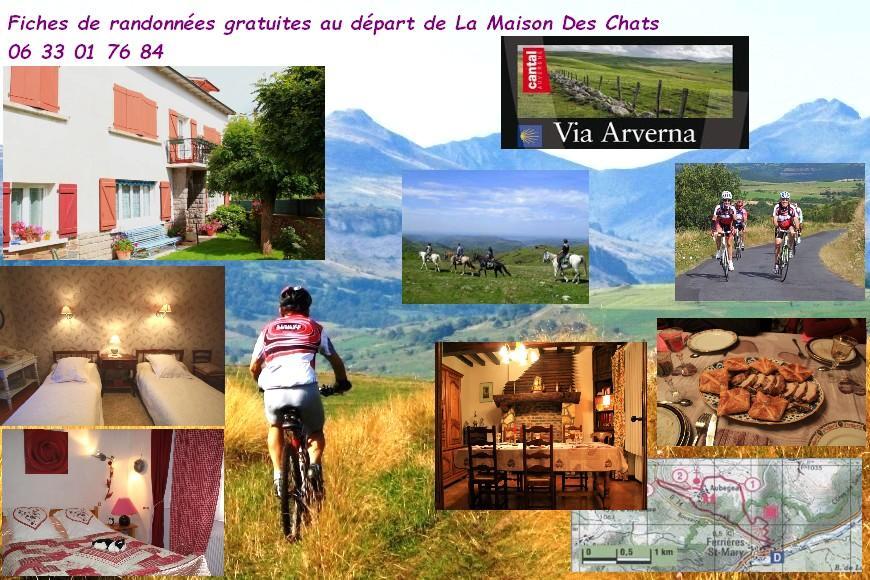 La Maison Des Chats Saint-Mary-le-Plain Luaran gambar